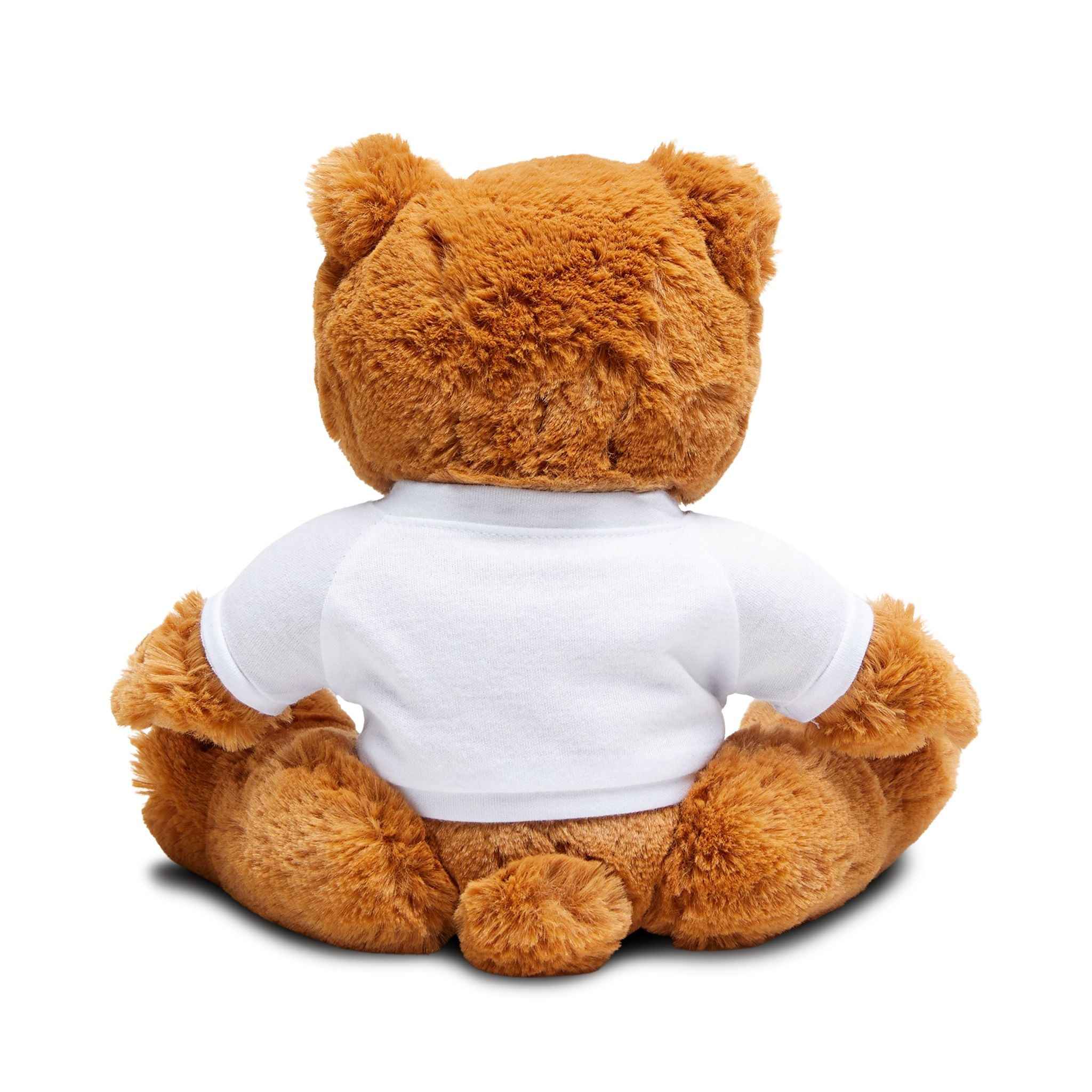Cute Teddy Bear with Customizable Teddy Bear T-Shirt for Personalized Gifts