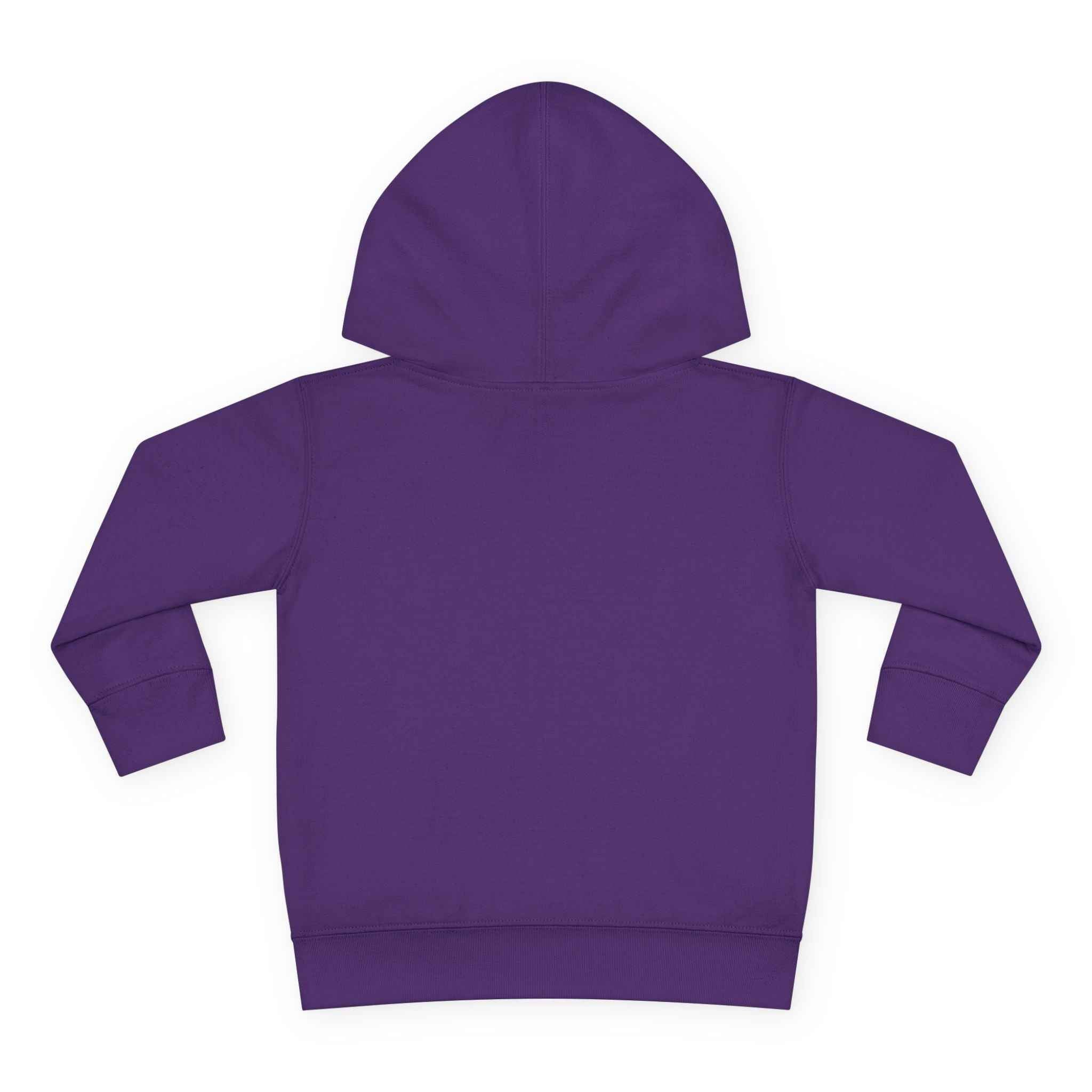 Toddler Fleece Hoodie for Kids – Cozy Pullover Fleece Sweatshirt